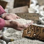 Kenaikan Harga Beras: Apakah Ini Ancaman bagi Ketahanan Pangan? 086119300_1662635694-Kenaikan-Harga-Beras-Imbas-BBM-Iqbal-3