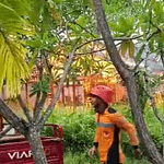 Rumah di Jalan Bukit Keminting Terbakar Akibat Korsleting Listrik Screenshot_64