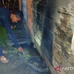 Pelaku Masih Berkeliaran! Dua Rumah di Palangka Raya Hampir Terbakar Teror-pembakaran-rumah-kembali-terjadi.jpg