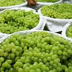 Thailand Temukan Residu Kimia Berbahaya pada Anggur Shine Muscat agr-shn-msc