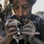 Para Aktivis Pertaruhkan Nyawa Selamatkan Hewan Peliharaan di Lebanon Pasca Serangan Israel animals-lebn