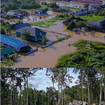 3.367 Hektar Hutan Hilang, Banjir Besar Kapuas-Pulpis: 60.416 Jiwa Terdampak, 9.089 Rumah Terendam 4-1