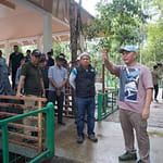 Gubernur Kalteng Tinjau Nyaru Menteng, Siap Dikenal Seantero Indonesia! Gub