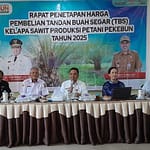 Daftar Harga TBS Sawit di Kalteng Berdasarkan Umur Tanaman, Cek! Gambar-WhatsApp-2025-02-07-pukul-16.47.54_33c3aaeb