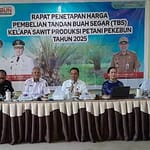 Meski Turun, CPO Kalteng Tetap Rp13.628! Petani Masih Optimis? WhatsApp Image 2025-05-05 at 7.52.49 PM