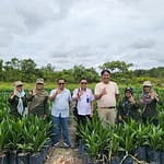 Kalteng Perangi Benih Sawit Palsu: UPT BP3B Awasi Kualitas Benih! a3-8