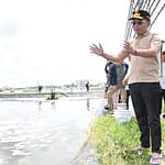 Gubernur Kalteng Tinjau Tambak Udang Vaname Rp25 Miliar di Sukamara WhatsApp-Image-2025-04-05-at-11.28.28-AM-780×520