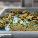 Program magang ini bikin siswa SMK dan mahasiswa kepikiran soal pangan 11092025031045_1