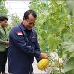 Rendy Lesmana: Smart Farming Jadi Solusi Tantangan Ketahanan Pangan 11092025105950_0