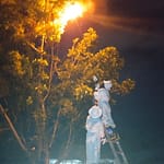 Waspada! BPBD Ingatkan Warga Jangan Evakuasi Sarang Tawon Sendiri tawon