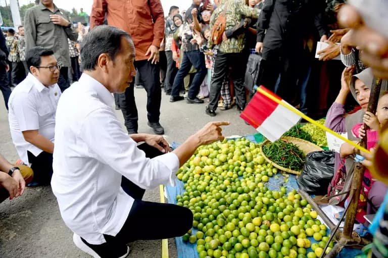 Pembangunan Infrastruktur Jokowi: Meningkatkan Pendapatan Desa 2 Kali Lipat