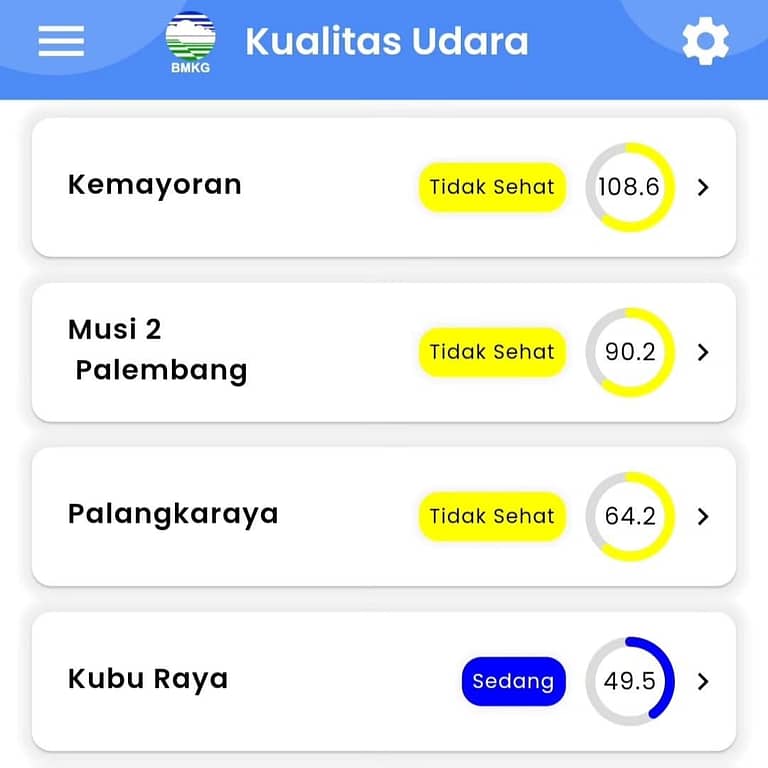 Karhutla di Palangka Raya Meningkat, Warga Diimbau Waspada!