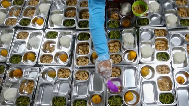 Serangga Jadi Menu Program Makan Bergizi Gratis, DPR Kritik BGN
